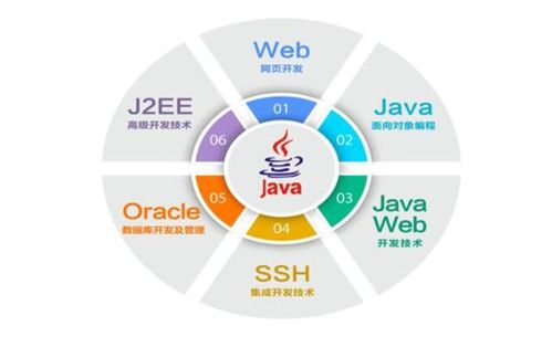 從入門到退坑 IT行業(yè)五大崗位全解析，軟件開發(fā)是否最賺錢？